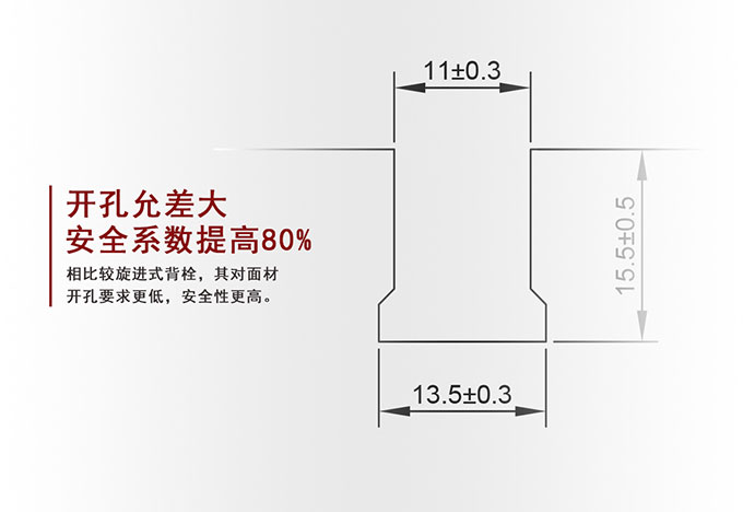 片式敲擊背栓(圖2)